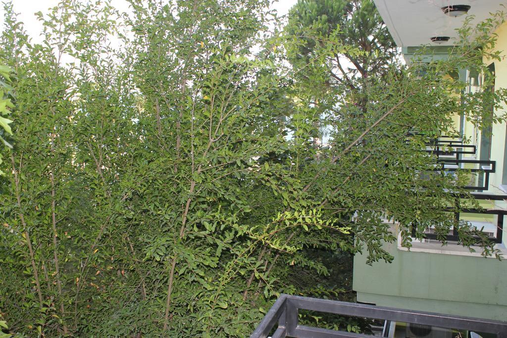 Flora Hotel Koycegiz  Room photo